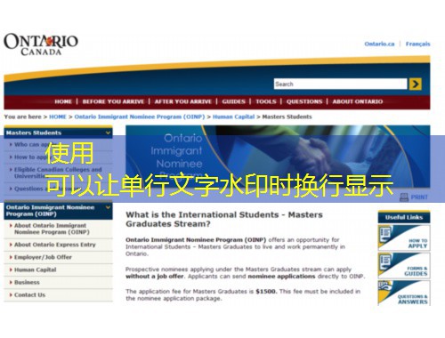 进入汉德欧移民官网